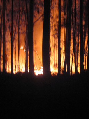 Axuda tamén a evitar incendios. Flikr: pablokdc