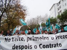 Manifestación do SLG (clique para ampliar)